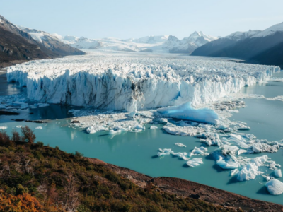 Calafate